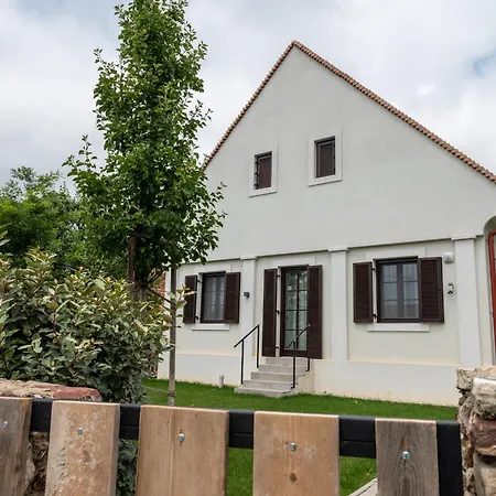 Viktoria Kohaz Koveskal