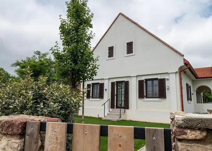 Viktoria Kohaz Köveskál